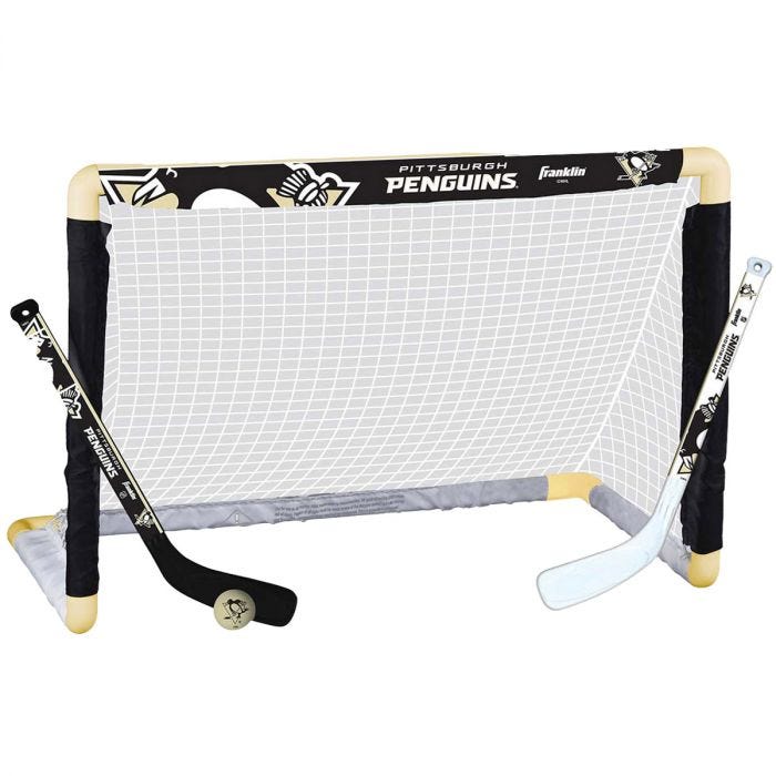 Franklin Sports Mini Hockey Goalie Pads - Youth Knee and Mini Hockey Goalie  Gear and Equipment - Mini Hockey Goalie Set 
